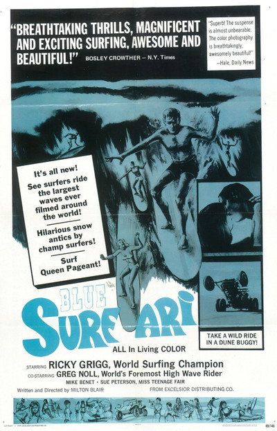 Póster de Blue Surfari