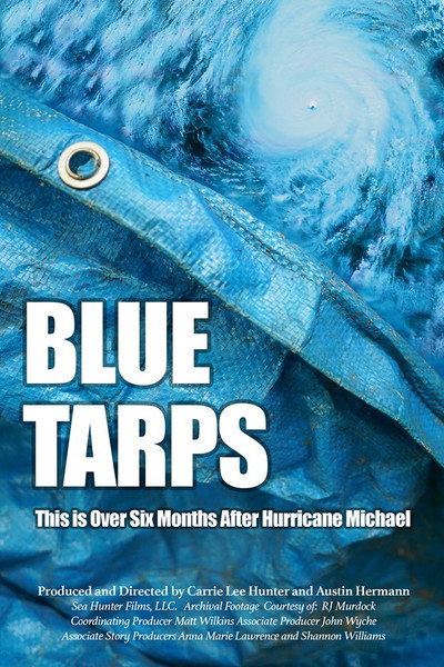 Póster de Blue Tarps
