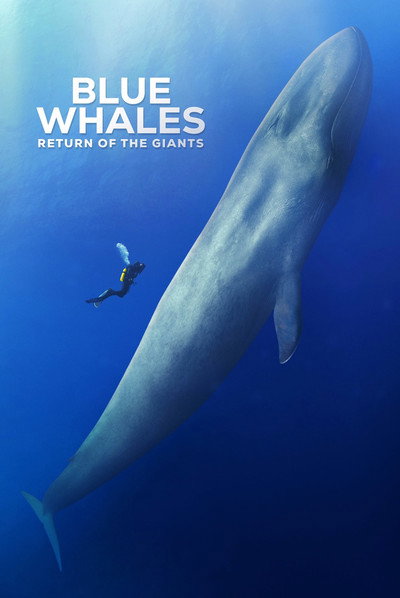 Póster de Blue Whales: Return of the Giants