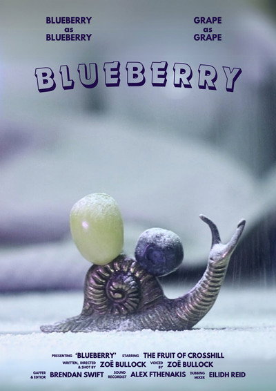 Póster de Blueberry