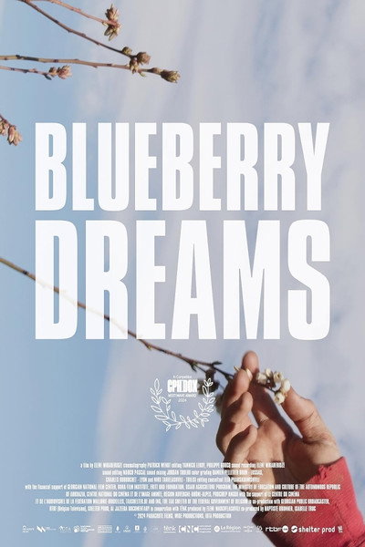 Póster de Blueberry Dreams