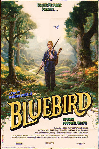 Póster de Bluebird