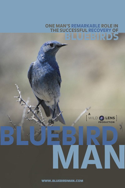 Póster de Bluebird Man