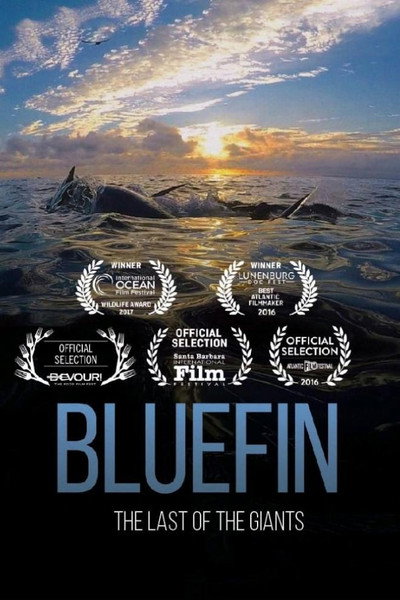 Póster de Bluefin
