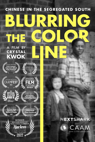 Póster de Blurring the Color Line