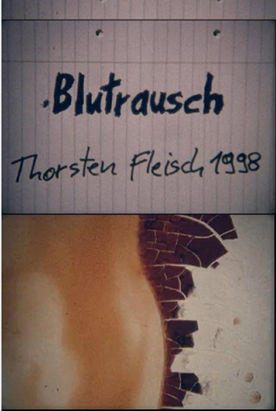 Póster de Blutrausch