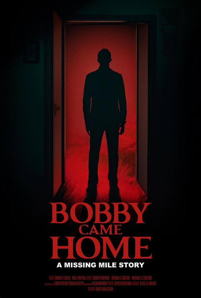 Póster de Bobby Came Home