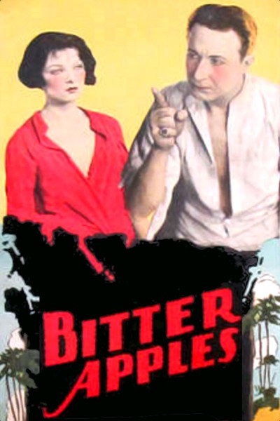 Póster de Boda sin amor