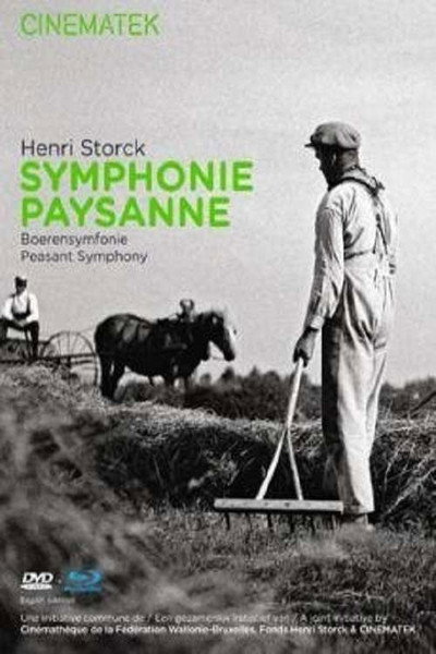 Póster de Boerensymfonie