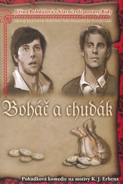 Póster de Bohác a chudák
