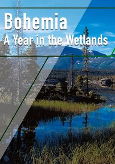 Póster de Bohemia: A Year in the Wetlands