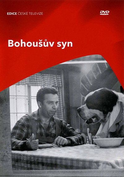 Póster de Bohousuv syn