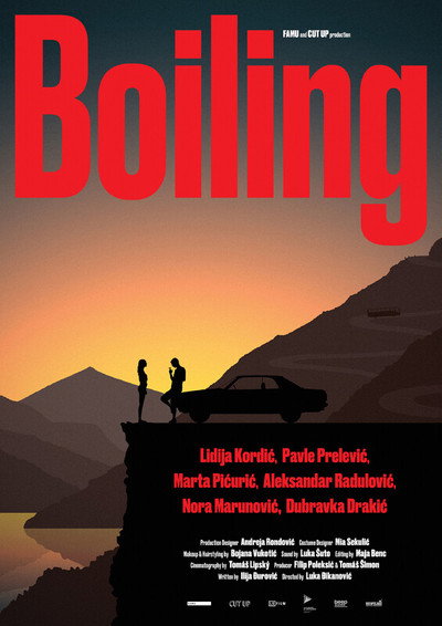 Póster de Boiling
