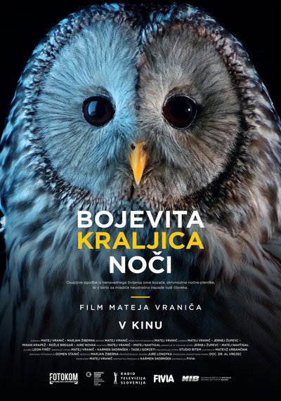 Póster de Bojevita kraljica noci