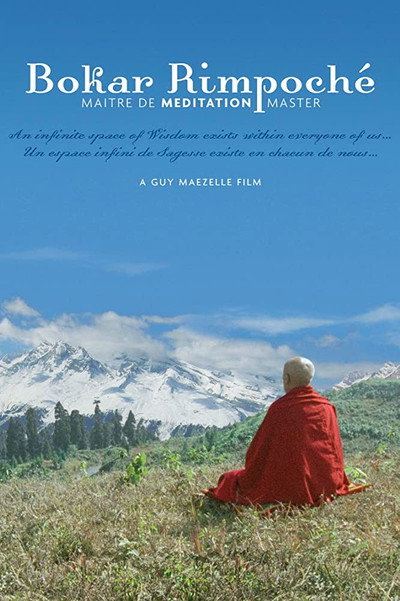 Póster de Bokar Rimpoche: Meditation Master