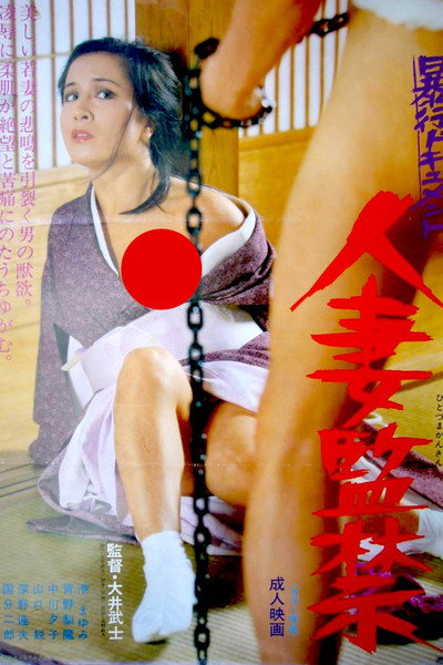 Póster de Bôkô document: Hitozuma kankin