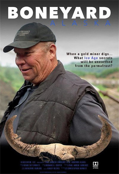 Póster de Boneyard Alaska
