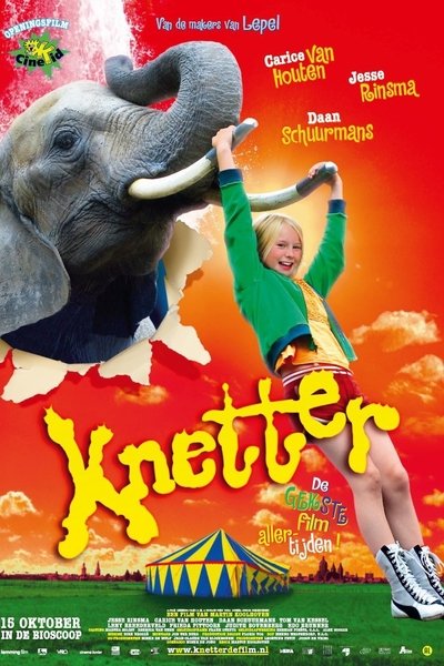 Póster de Bonkers