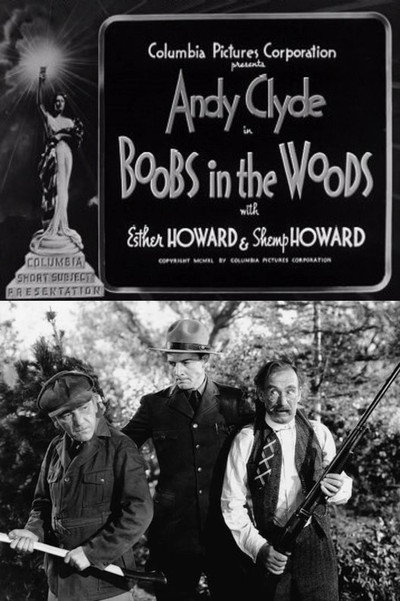 Póster de Boobs in the Woods