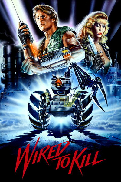 Póster de Booby Trap