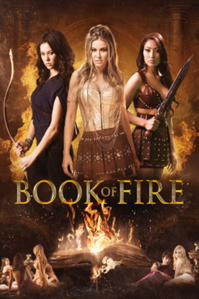Póster de Book of Fire
