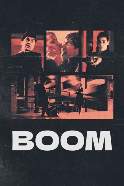 Póster de Boom