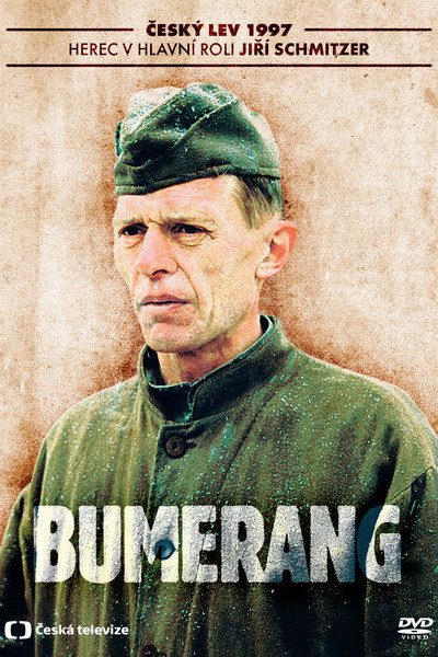 Póster de Boomerang