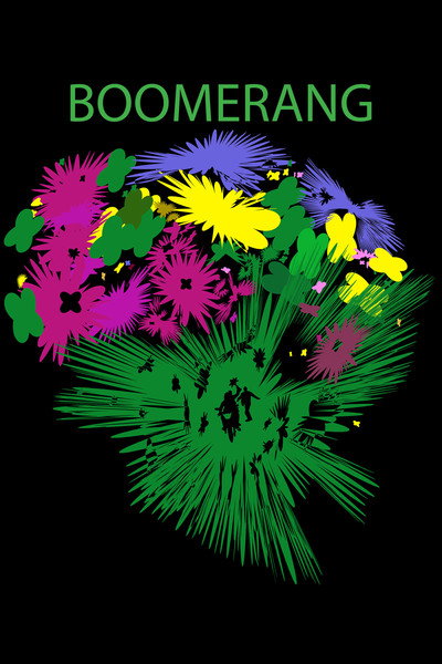 Póster de Boomerang