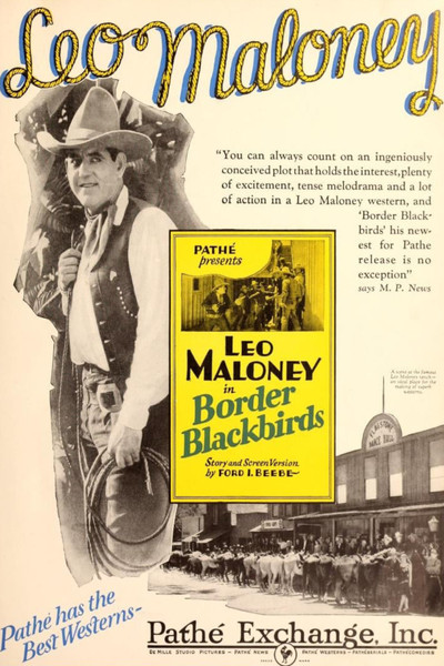 Póster de Border Blackbirds