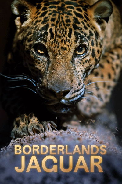 Póster de Borderlands Jaguar