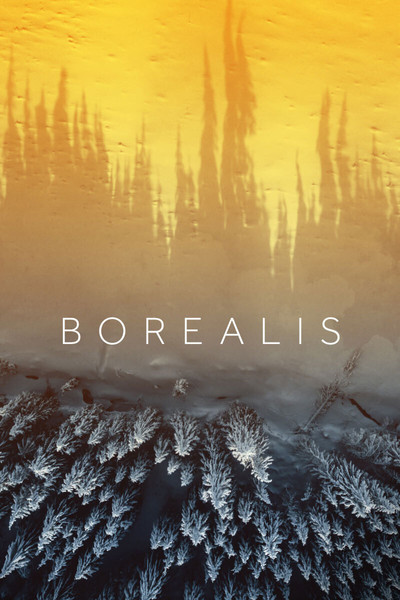 Póster de Borealis