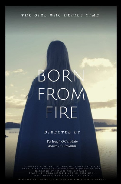 Póster de Born from Fire