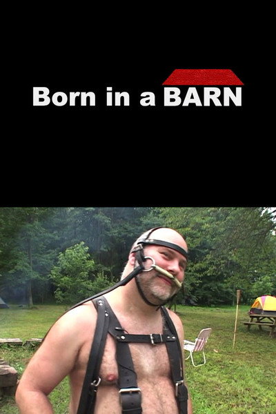 Póster de Born in a Barn