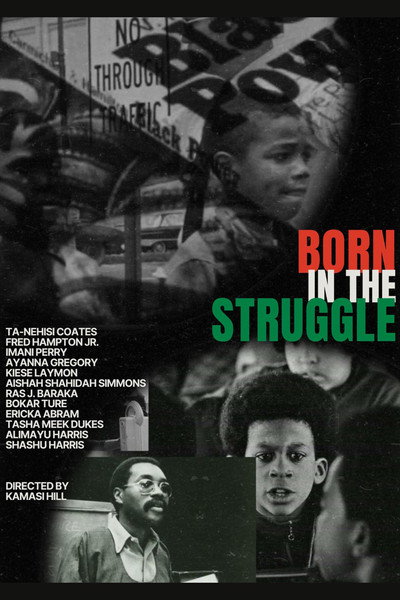 Póster de Born in the Struggle