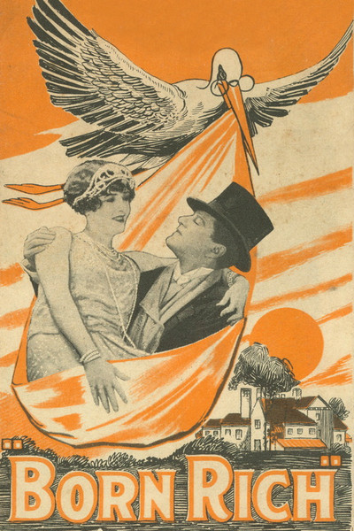 Póster de Born Rich