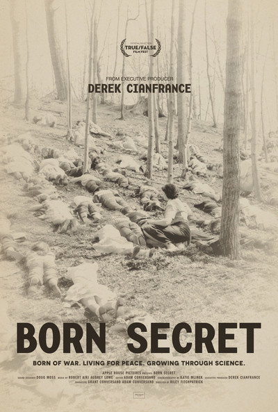 Póster de Born Secret