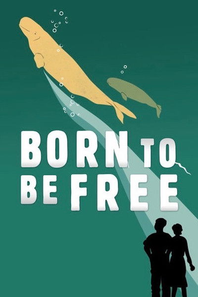 Póster de Born to Be Free