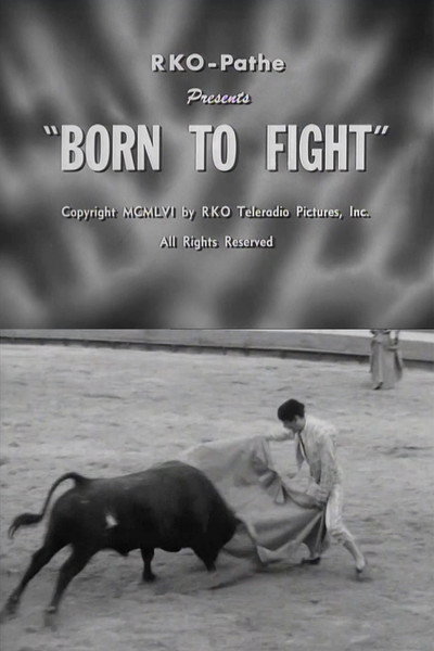 Póster de Born to Fight