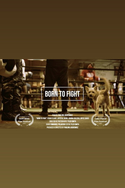 Póster de Born to Fight