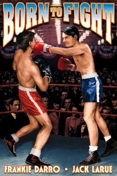 Póster de Born to Fight