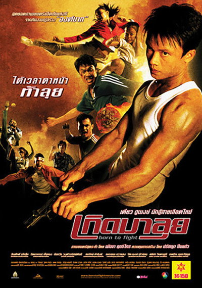 Póster de Born to Fight (Nacido para luchar)
