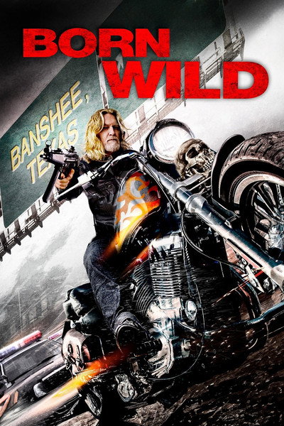 Póster de Born Wild
