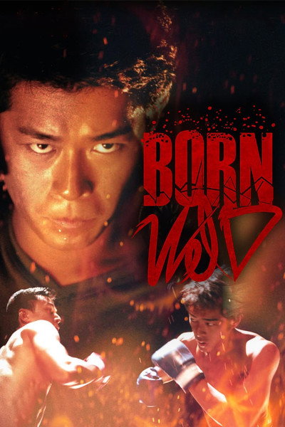 Póster de Born Wild