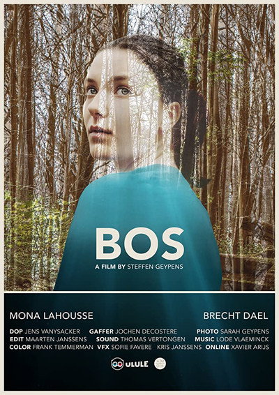 Póster de Bos