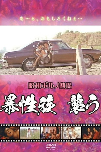 Póster de Bôseizoku osou