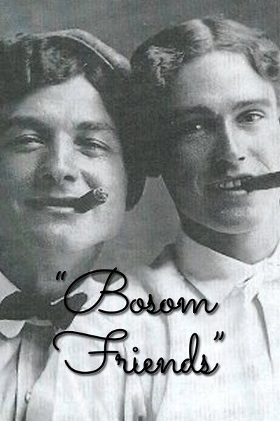 Póster de Bosom Friends