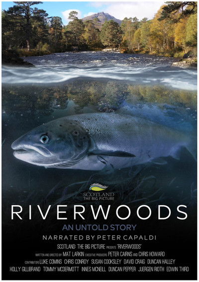 Póster de Bosques de rivera