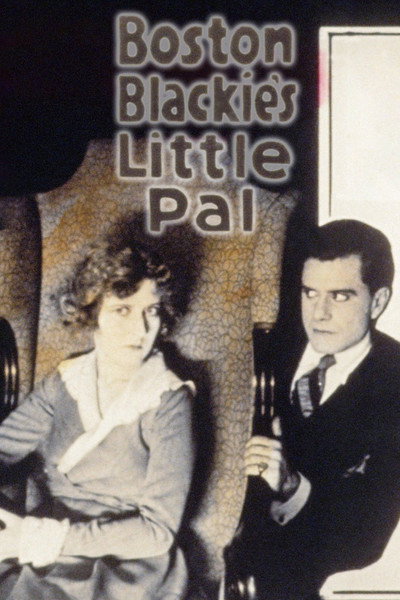 Póster de Boston Blackie's Little Pal