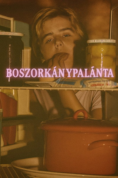 Póster de Boszorkánypalánta
