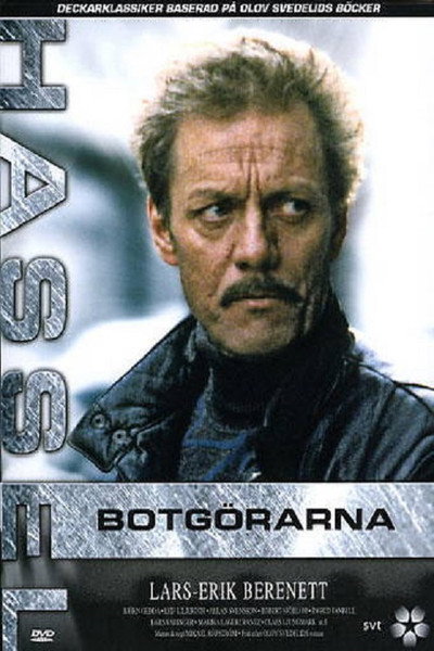 Póster de Botgörarna